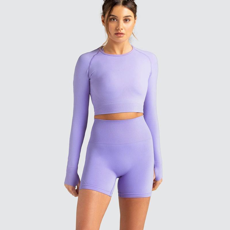 Two Piece Yoga Set: Seamless Leggings Long Sleeves Top