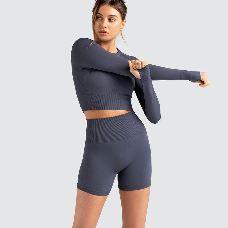 Two Piece Yoga Set: Seamless Leggings Long Sleeves Top