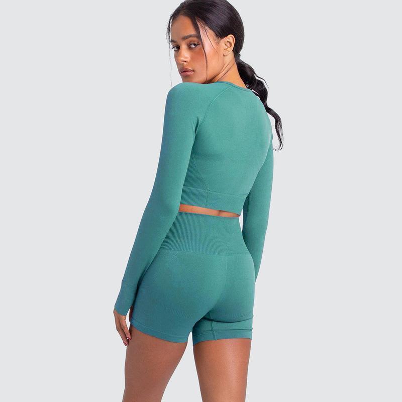 Two Piece Yoga Set: Seamless Leggings Long Sleeves Top