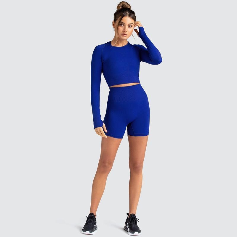 Two Piece Yoga Set: Seamless Leggings Long Sleeves Top