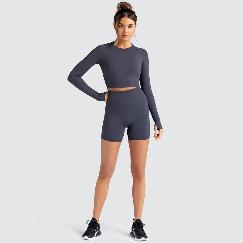 Two Piece Yoga Set: Seamless Leggings Long Sleeves Top