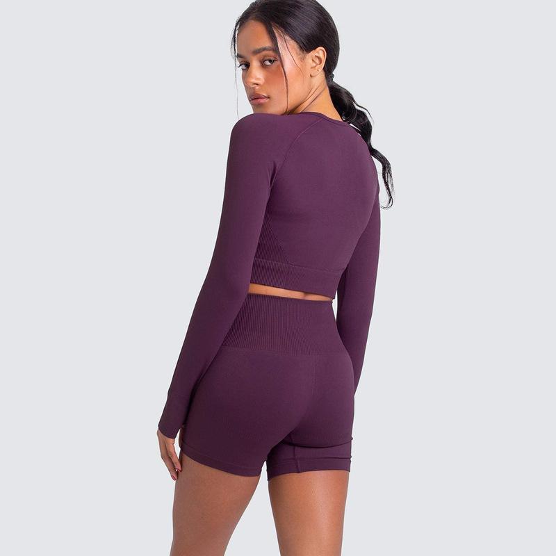 Two Piece Yoga Set: Seamless Leggings Long Sleeves Top