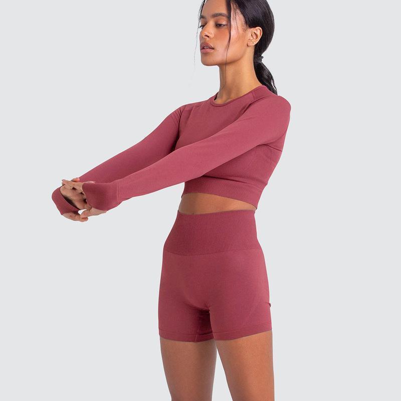 Two Piece Yoga Set: Seamless Leggings Long Sleeves Top