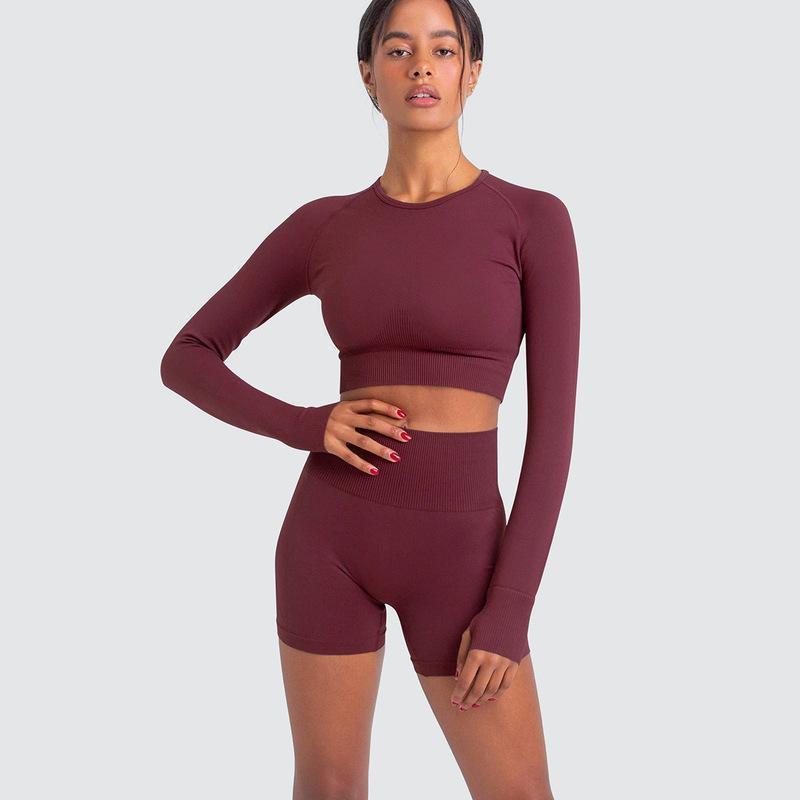 Two Piece Yoga Set: Seamless Leggings Long Sleeves Top