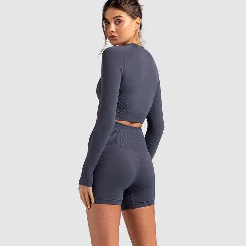 Two Piece Yoga Set: Seamless Leggings Long Sleeves Top