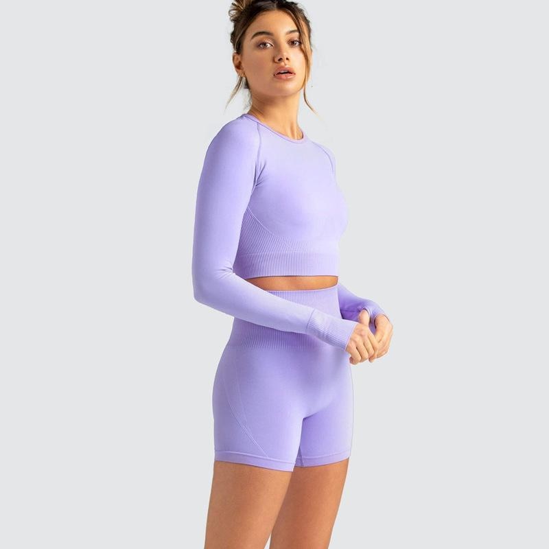 Two Piece Yoga Set: Seamless Leggings Long Sleeves Top