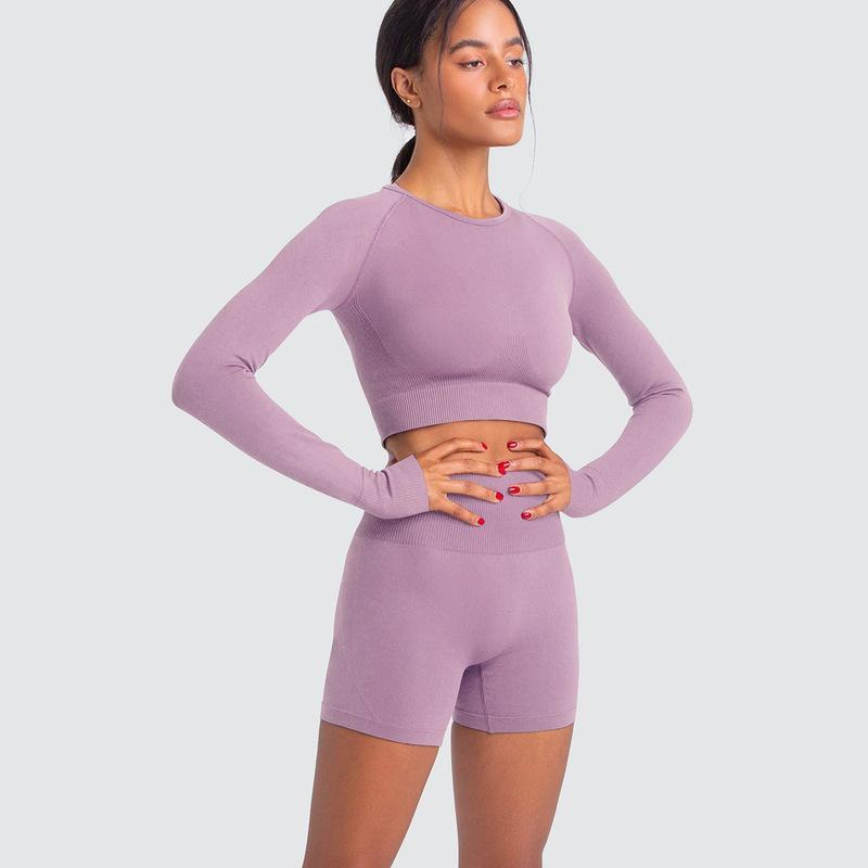 Two Piece Yoga Set: Seamless Leggings Long Sleeves Top