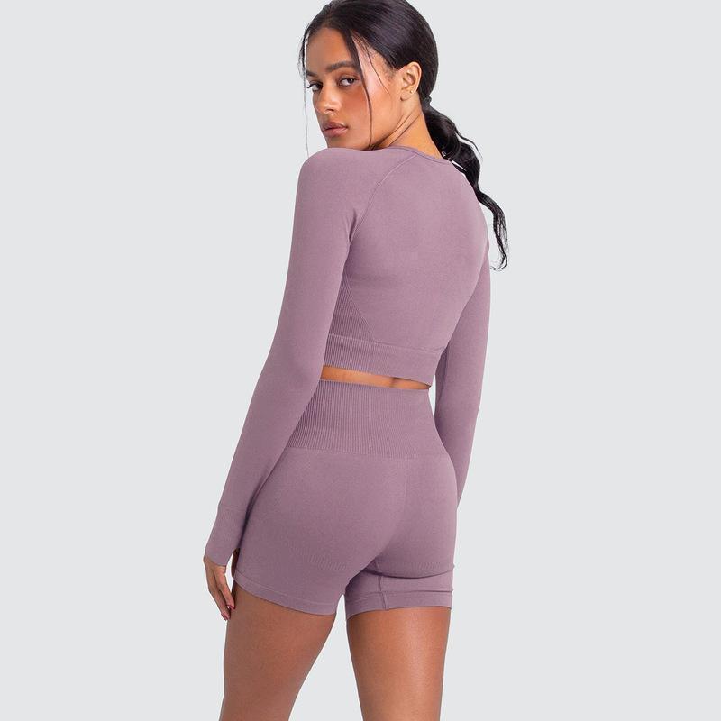 Two Piece Yoga Set: Seamless Leggings Long Sleeves Top