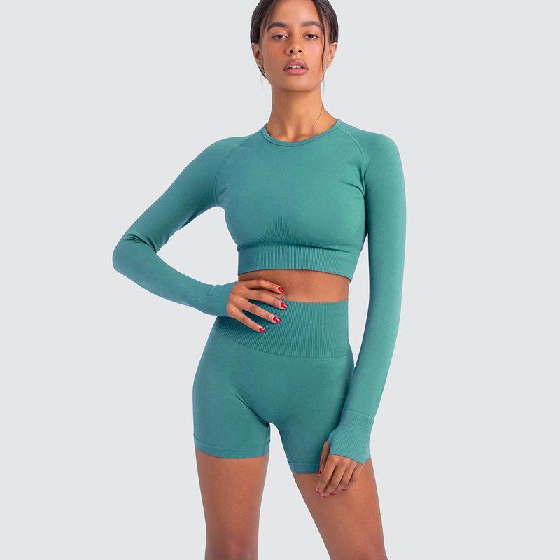 Two Piece Yoga Set: Seamless Leggings Long Sleeves Top