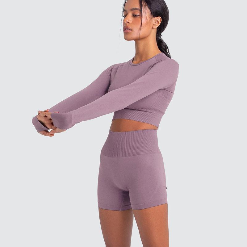 Two Piece Yoga Set: Seamless Leggings Long Sleeves Top