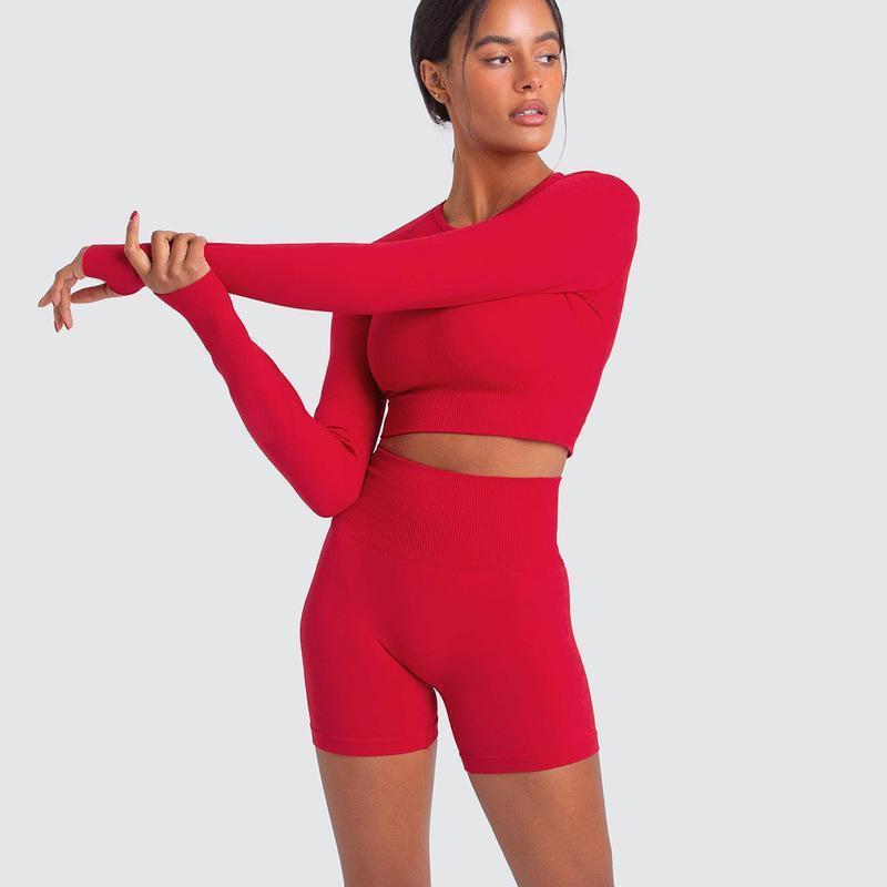 Two Piece Yoga Set: Seamless Leggings Long Sleeves Top