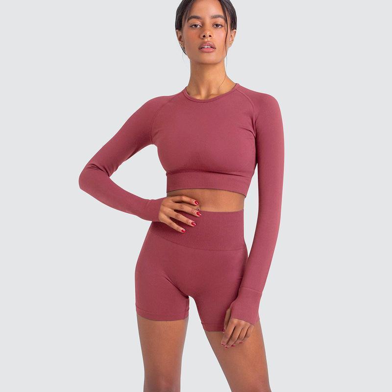 Two Piece Yoga Set: Seamless Leggings Long Sleeves Top