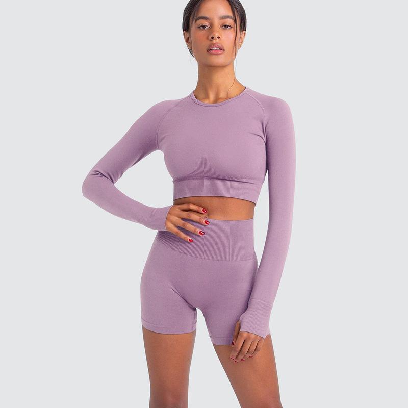 Two Piece Yoga Set: Seamless Leggings Long Sleeves Top