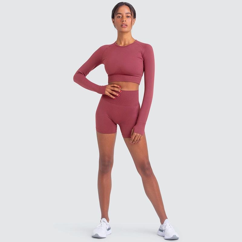 Two Piece Yoga Set: Seamless Leggings Long Sleeves Top