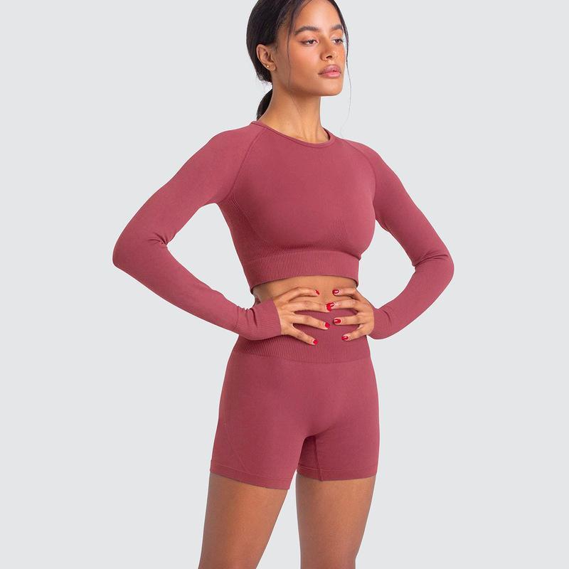 Two Piece Yoga Set: Seamless Leggings Long Sleeves Top