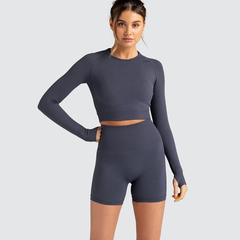 Two Piece Yoga Set: Seamless Leggings Long Sleeves Top