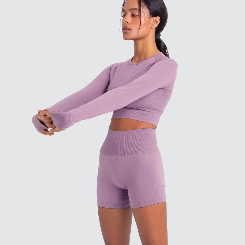 Two Piece Yoga Set: Seamless Leggings Long Sleeves Top