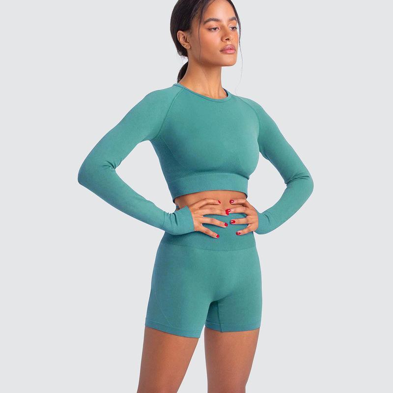 Two Piece Yoga Set: Seamless Leggings Long Sleeves Top