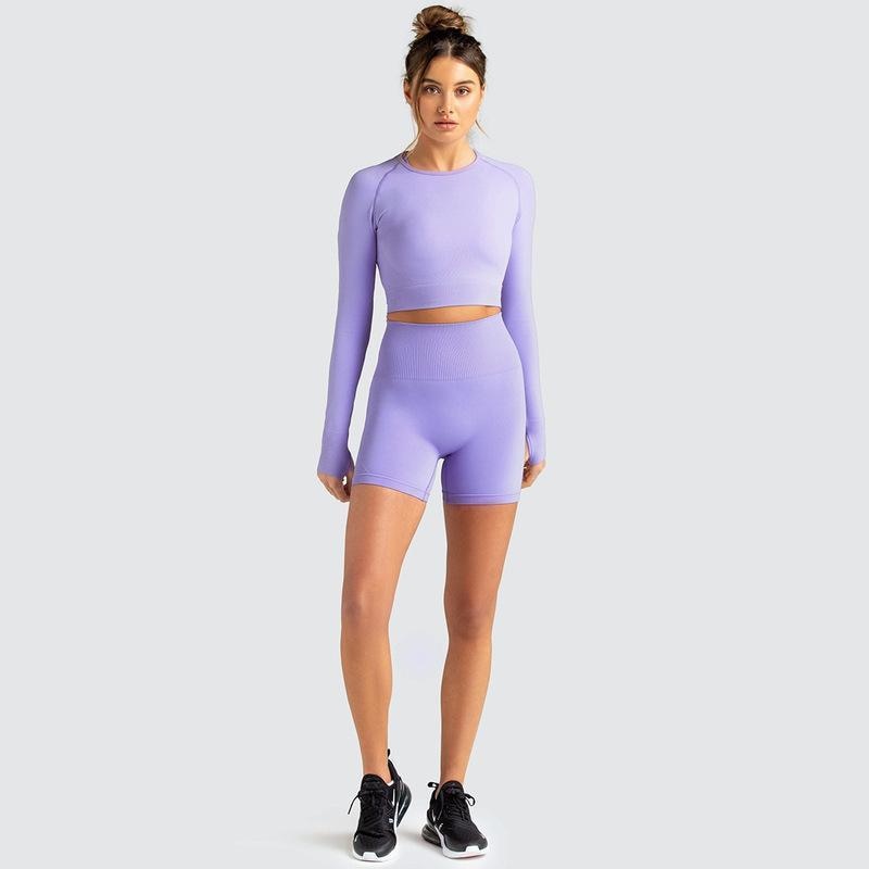 Two Piece Yoga Set: Seamless Leggings Long Sleeves Top