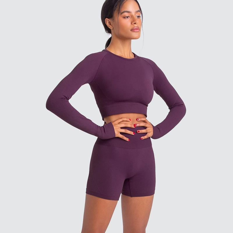 Two Piece Yoga Set: Seamless Leggings Long Sleeves Top