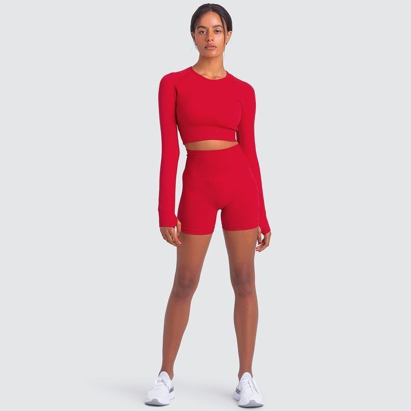 Two Piece Yoga Set: Seamless Leggings Long Sleeves Top