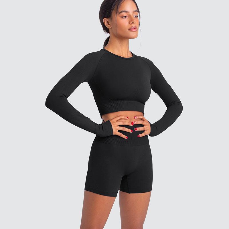 Two Piece Yoga Set: Seamless Leggings Long Sleeves Top