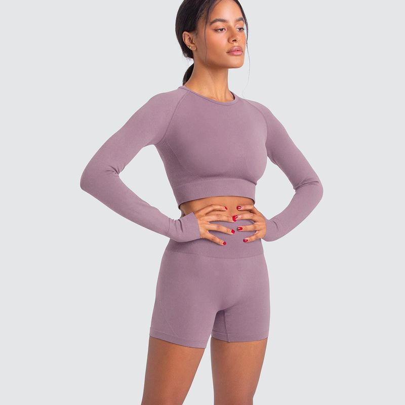 Two Piece Yoga Set: Seamless Leggings Long Sleeves Top