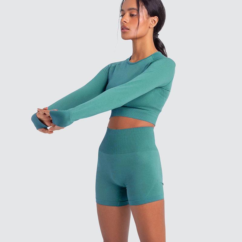 Two Piece Yoga Set: Seamless Leggings Long Sleeves Top