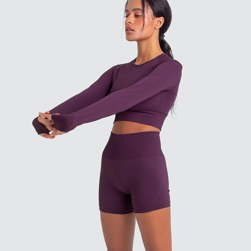 Two Piece Yoga Set: Seamless Leggings Long Sleeves Top