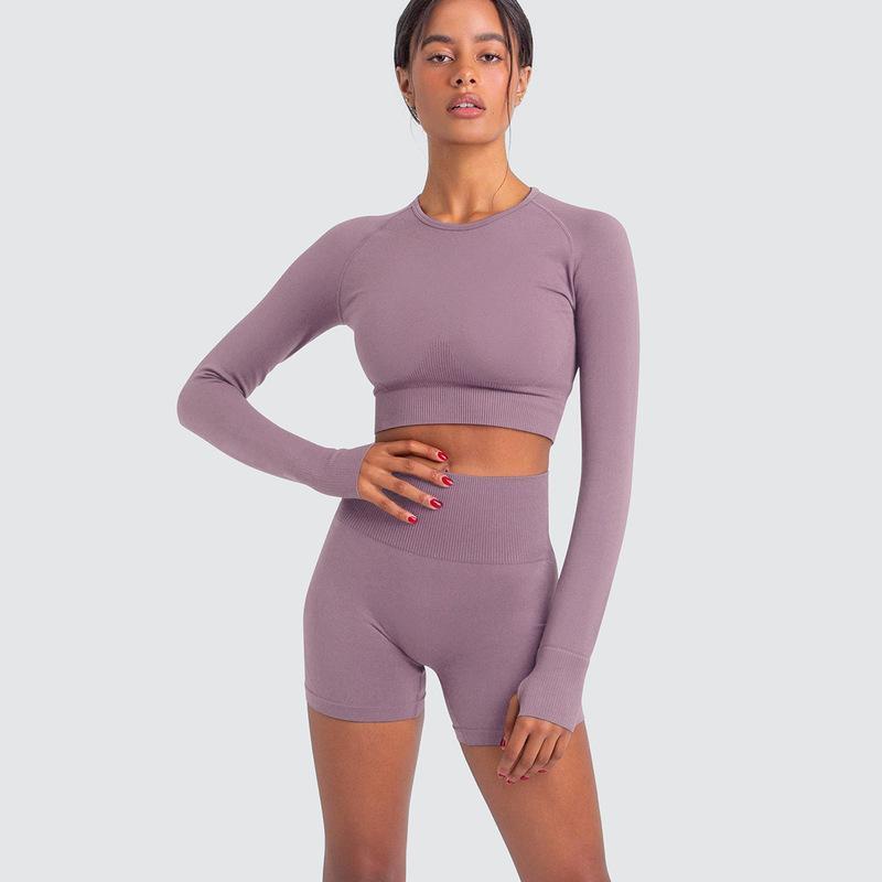 Two Piece Yoga Set: Seamless Leggings Long Sleeves Top